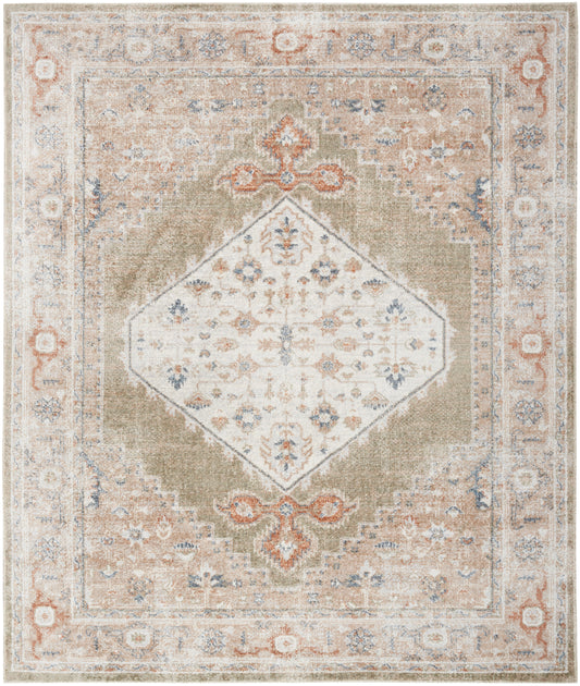 Nourison Astra Machine Washable 9' x 12' Sage Multi Vintage Indoor Rug