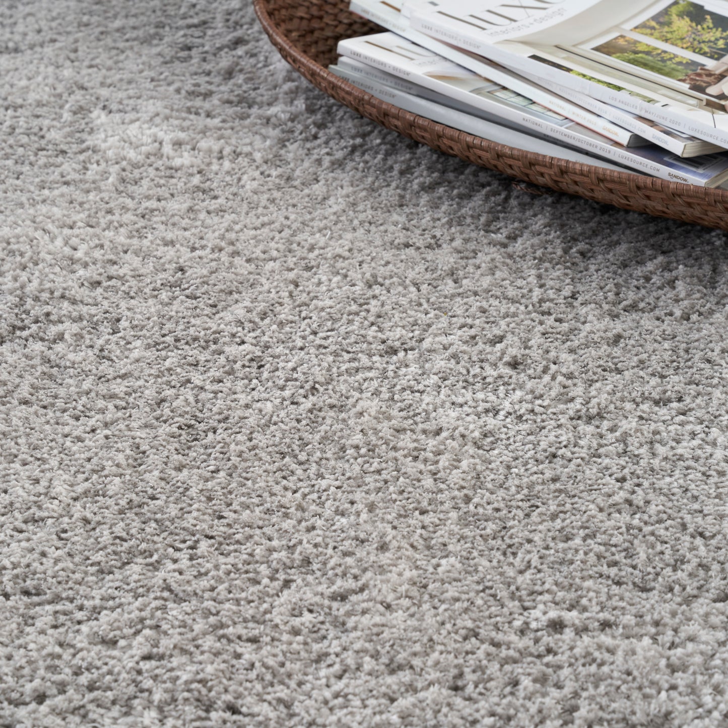 Nourison Dreamy Shag 4' x 6' Silver Shag Indoor Rug