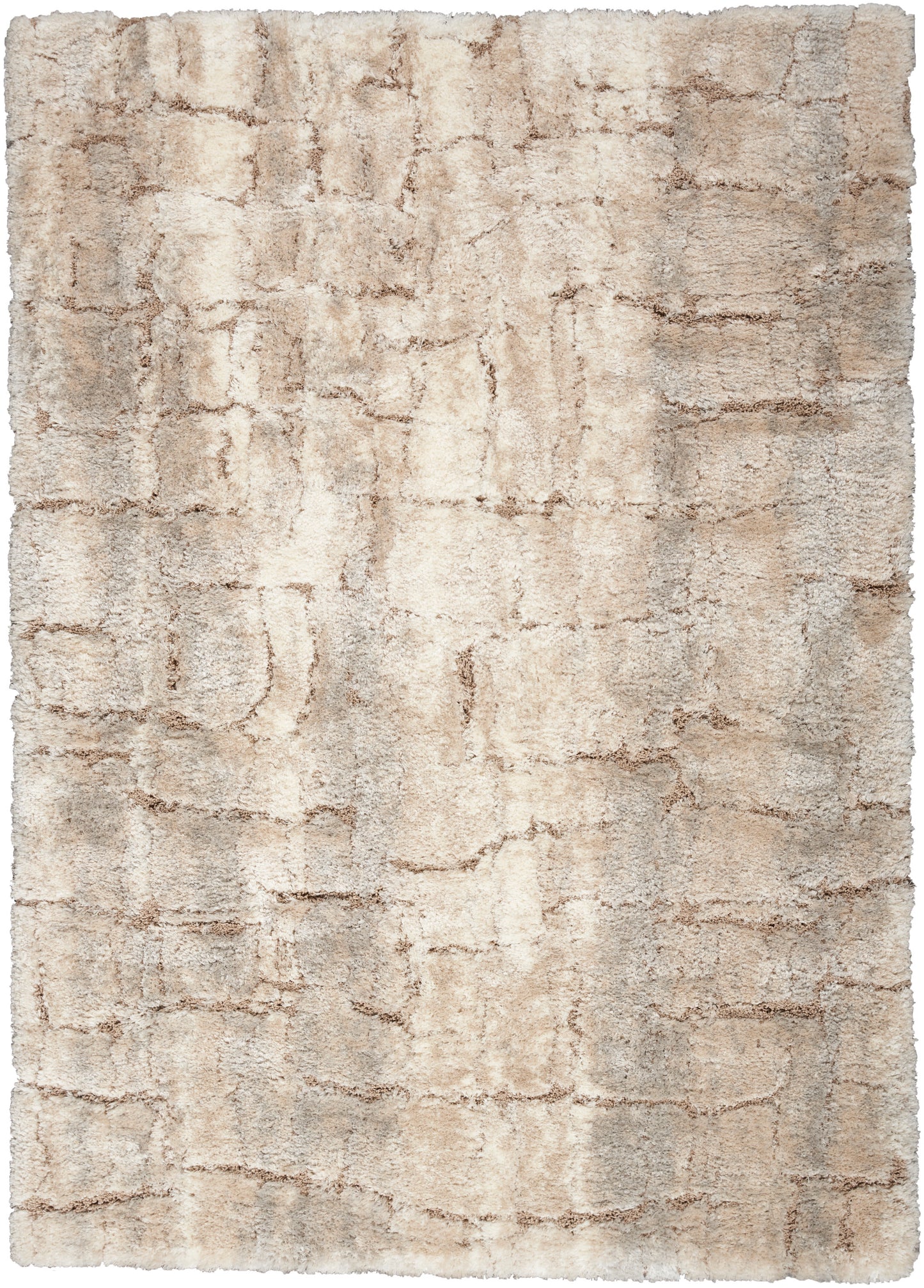 Nourison Dreamy Shag 4' x 6' Ivory Beige Shag Indoor Rug