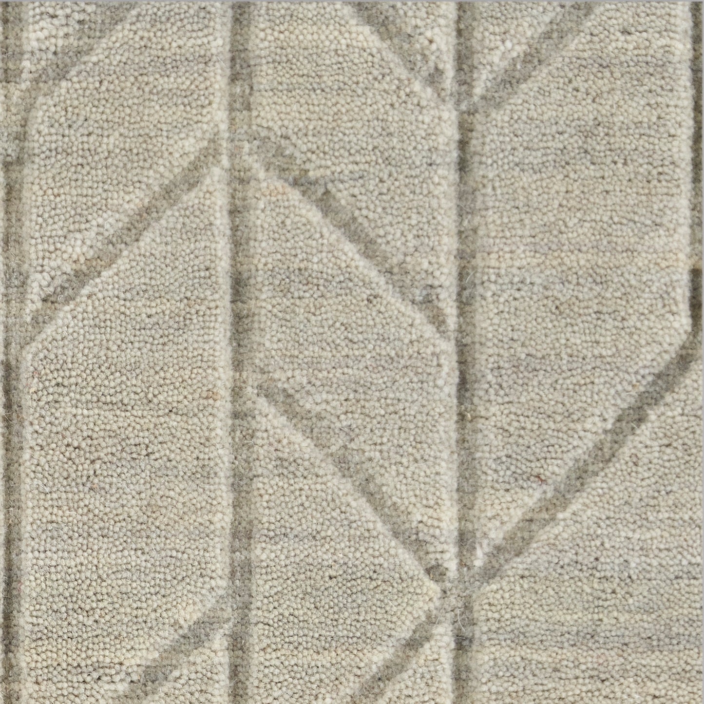 Nourison Alessia 5'3" x 7'5" Sage Modern Indoor Rug