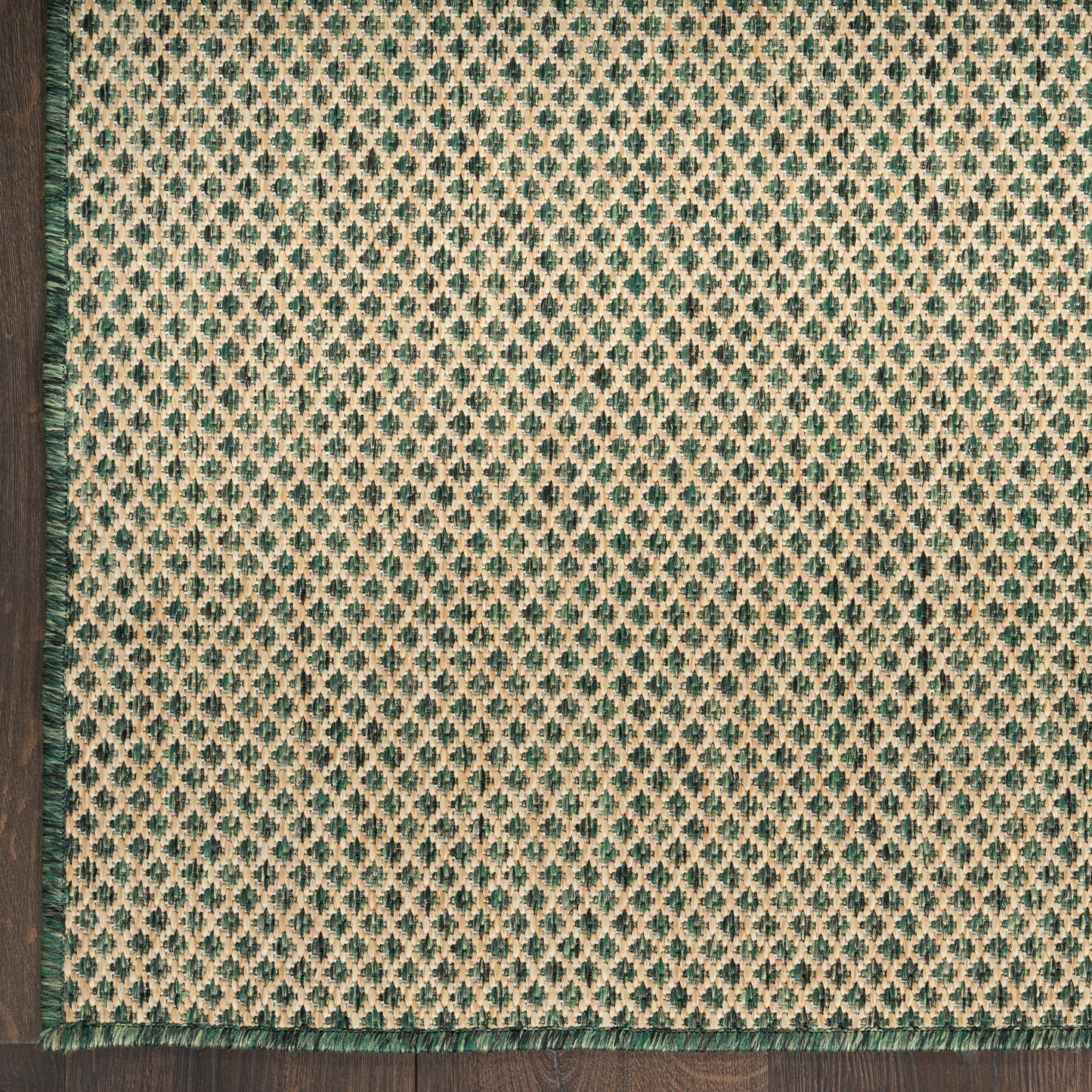 Nourison Courtyard 2'2" x 8' Green Modern Rug