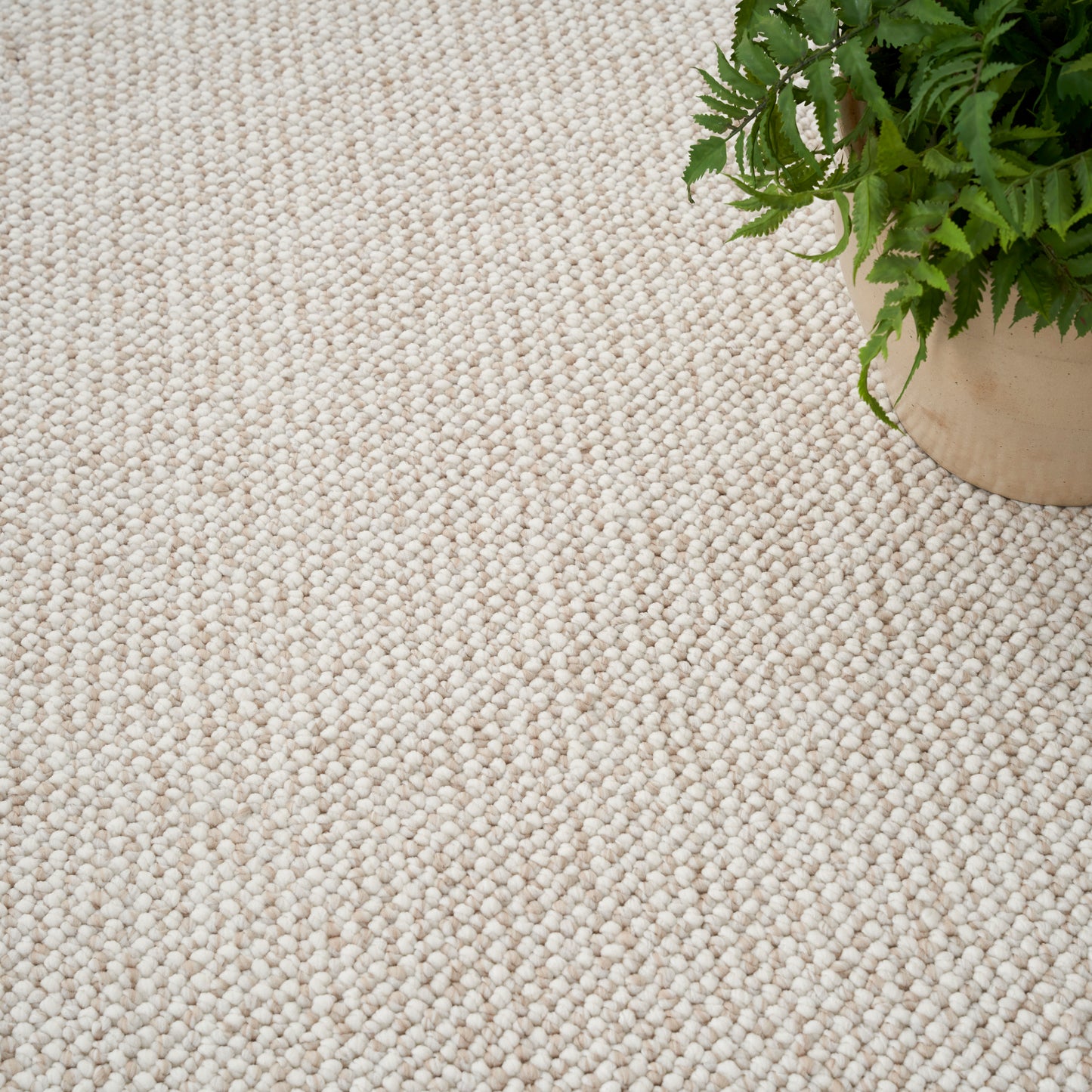 Nourison Natural Texture 5'3" x 7' Ivory Beige Farmhouse Indoor Rug