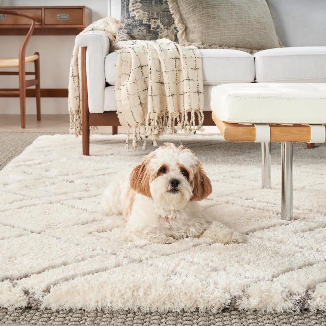 Nourison Dreamy Shag 4' x 6' Ivory Shag Indoor Rug