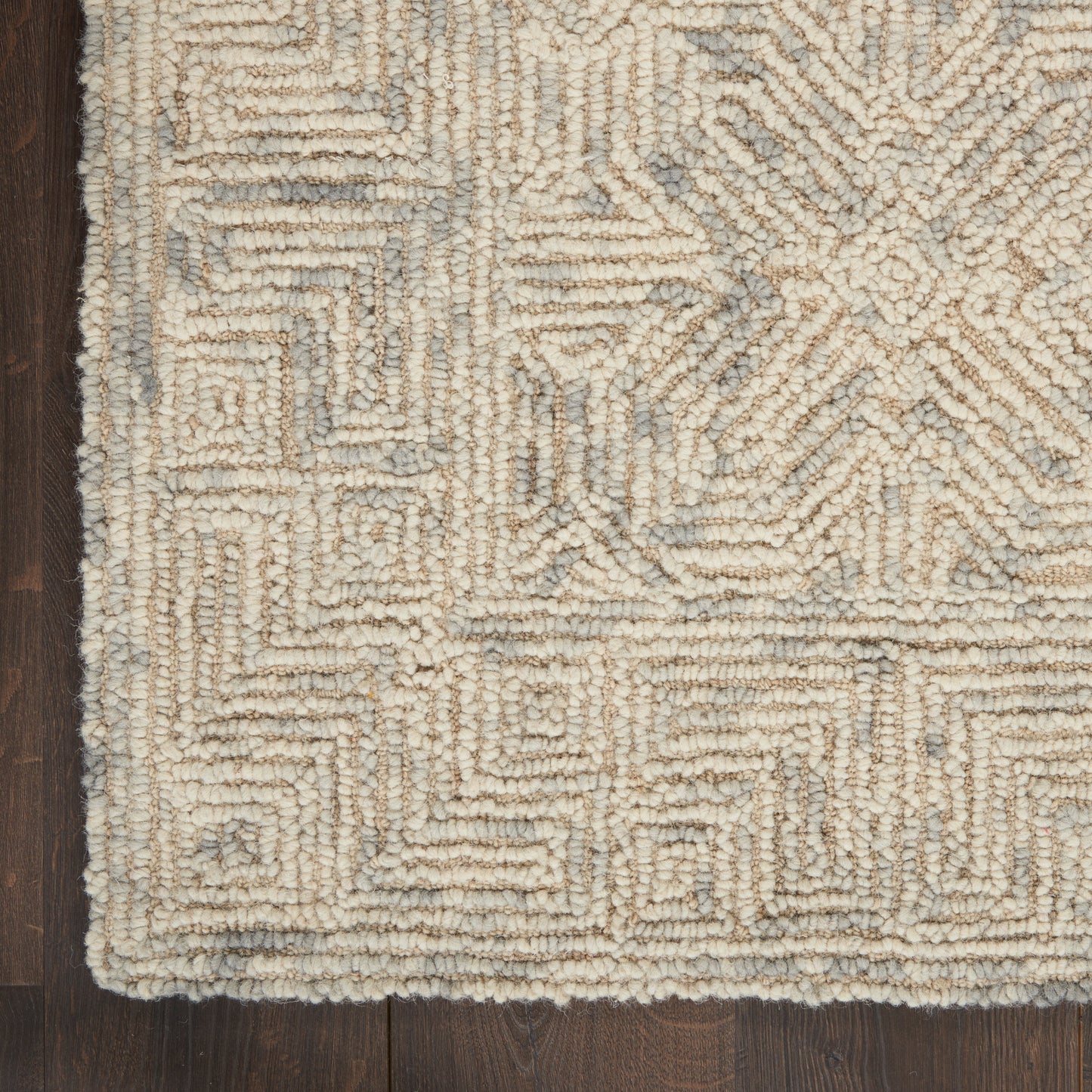 Nourison Colorado 5'3" x 7'3" Beige Grey Modern Indoor Rug