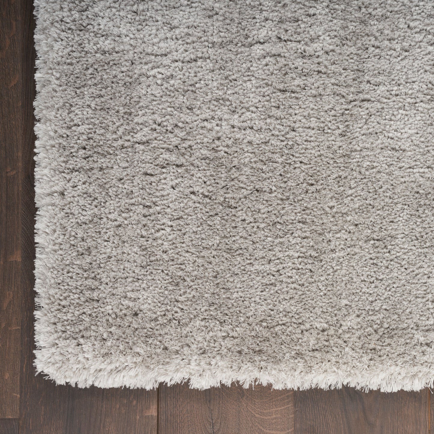 Nourison Dreamy Shag 4' x 6' Silver Shag Indoor Rug