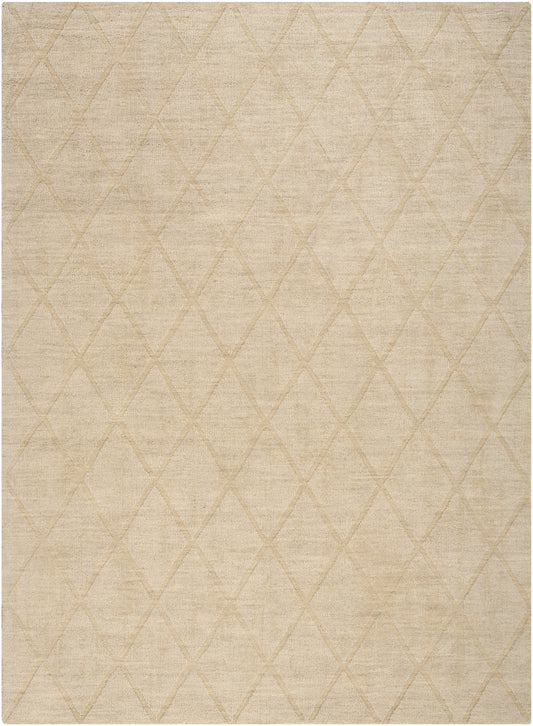 Nourison Wool Haven 5'3" x 7'3" Beige Modern Indoor Rug