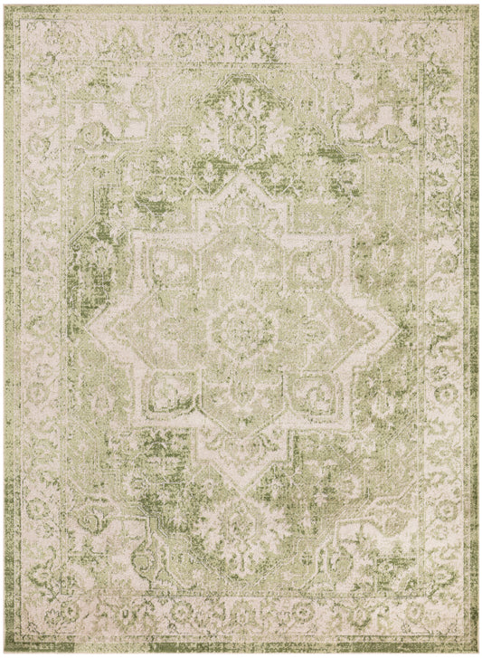 Nourison Astra Machine Washable 4' x 6' Ivory Green Vintage Indoor Rug