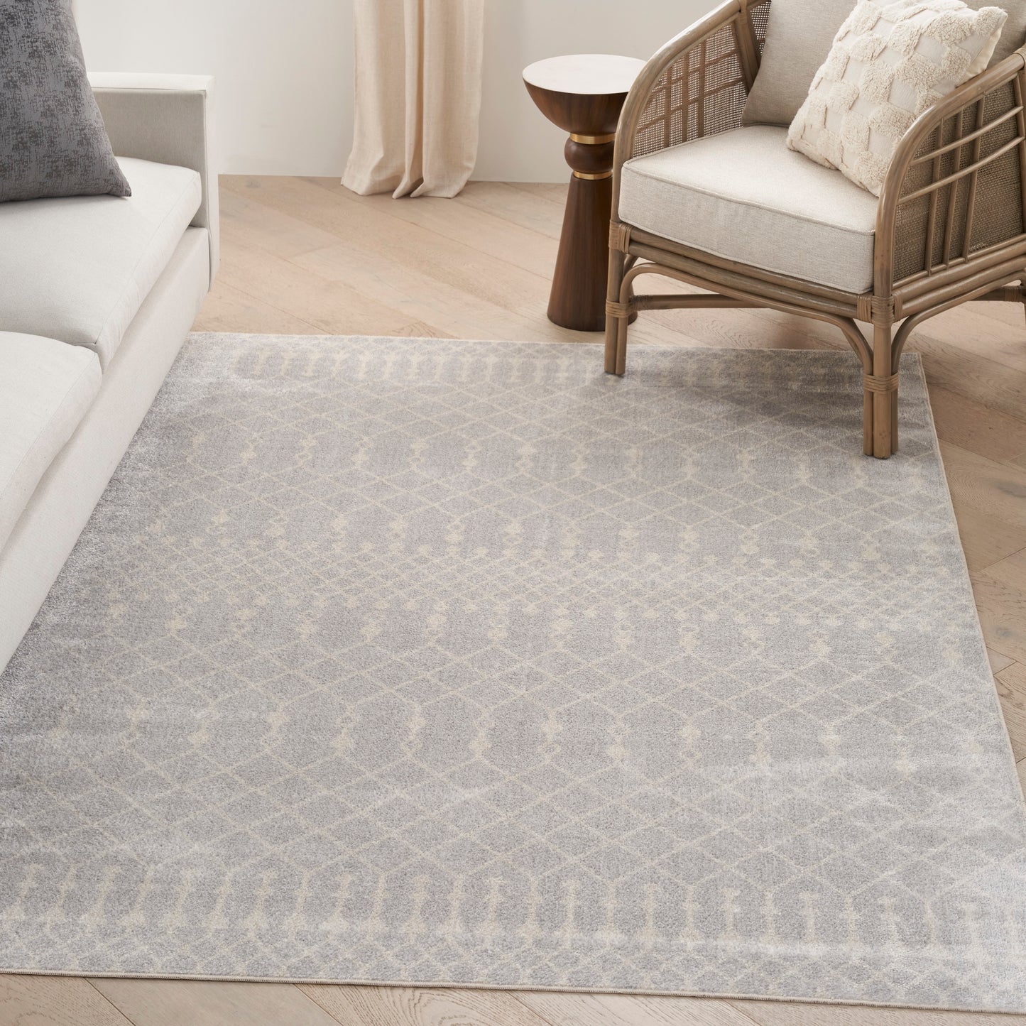 Nourison Astra Machine Washable 4' x 6' Grey Bohemian Indoor Rug