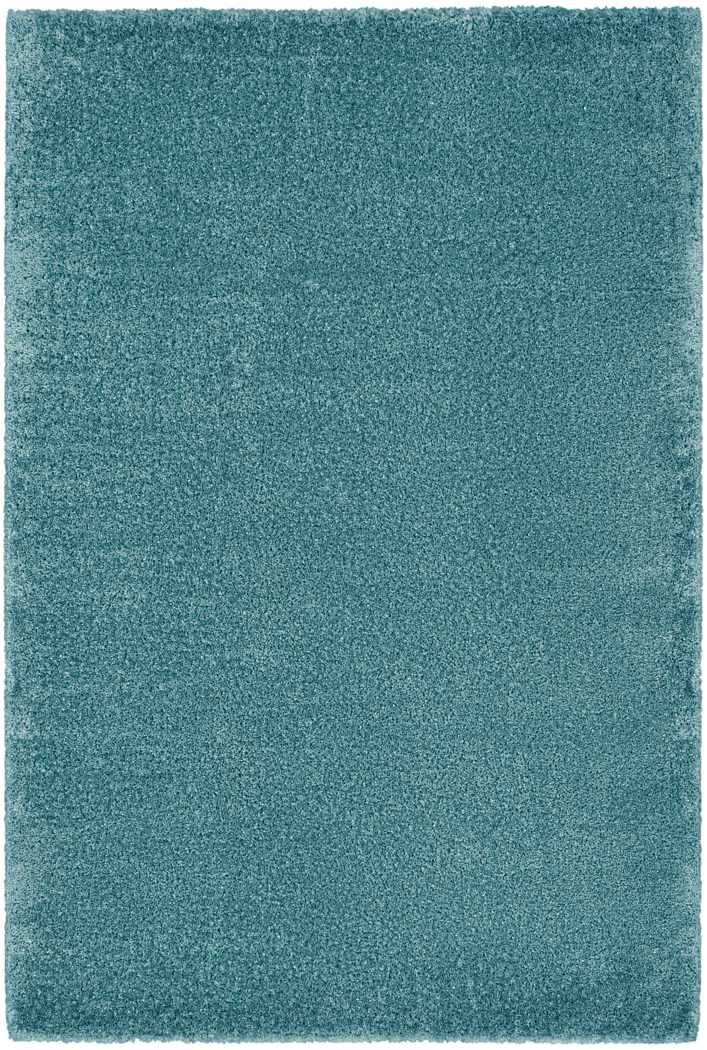 Nourison Dreamy Shag 5'3" x 7'3" Aqua Shag Indoor Rug