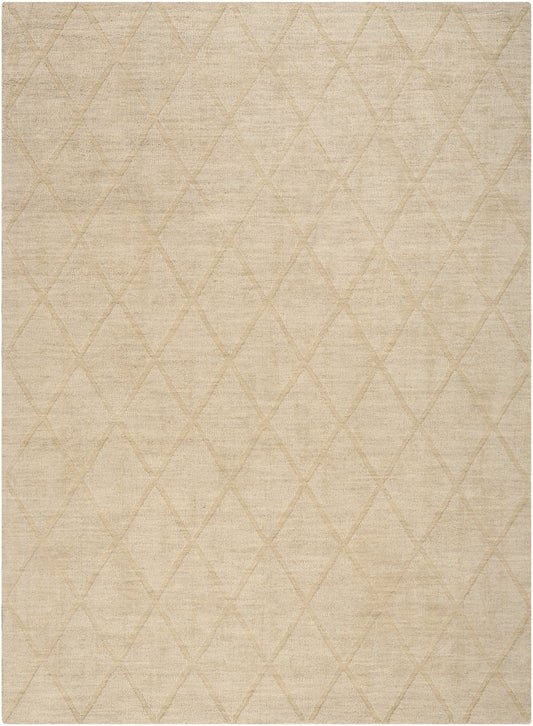 Nourison Wool Haven 3'9" x 5'9" Beige Modern Indoor Rug